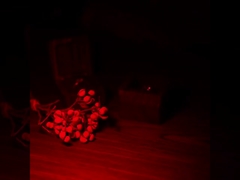 กล่องแหวนไม้